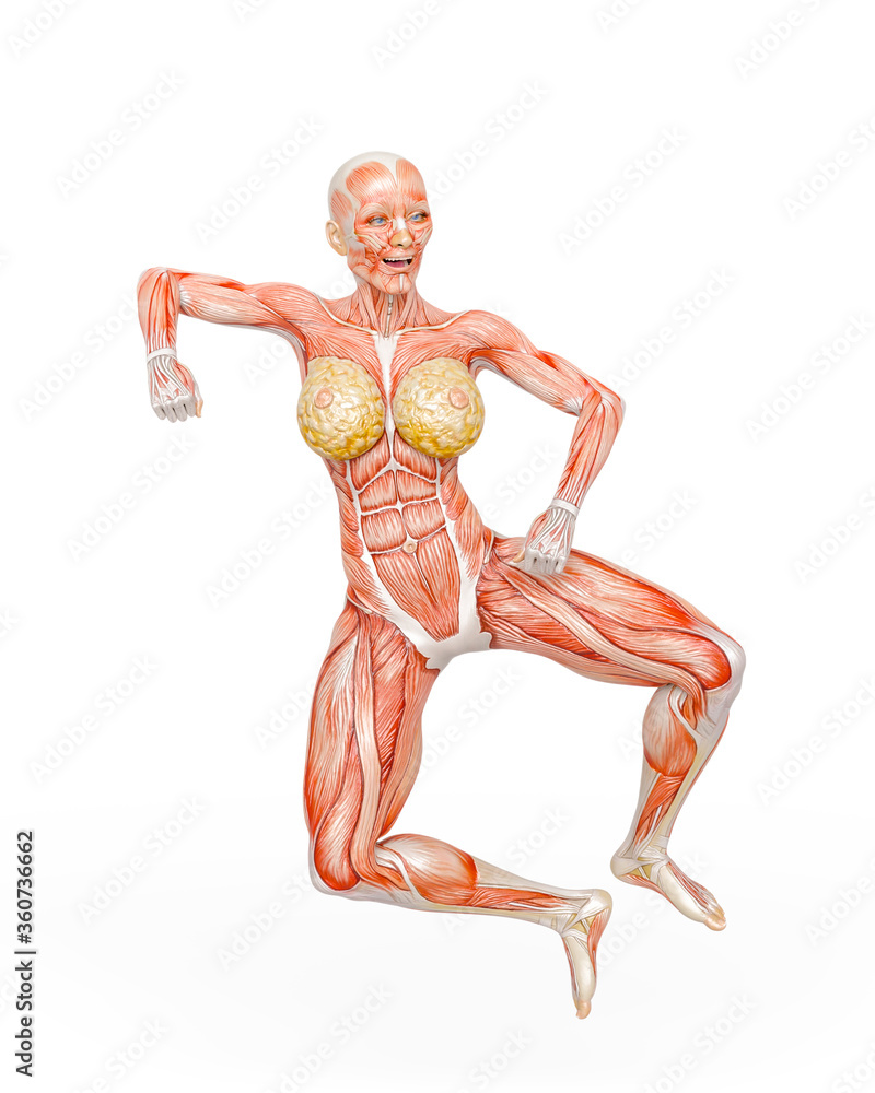 female bodybuilding in muscle maps is doing a weird happy jump in white background female bodybuilding in muscle maps is doing a weird happy jump in white background
