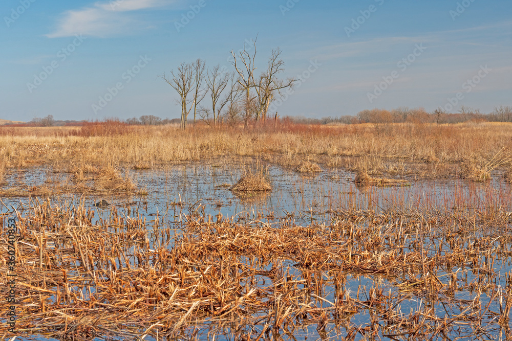 Wetland in the Tallgrass Prairie Wetland in the Tallgrass Prairie