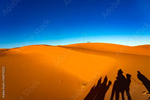 Sahara desert near Merzouga  Morocco