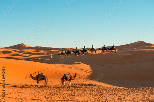 Sahara desert near Merzouga  Morocco