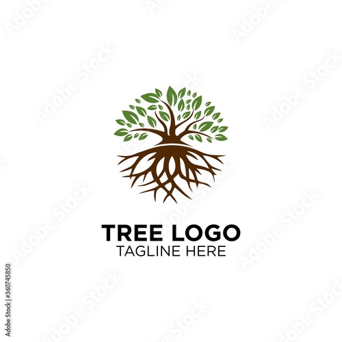 Tree With Root Logo Design