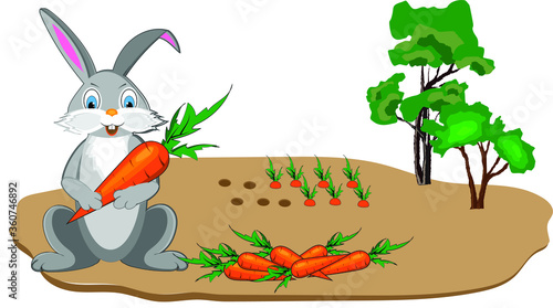 A cheerful rabbit was picking carrots in the garden and holding one large carrot in its paws. Vector illustration for design.