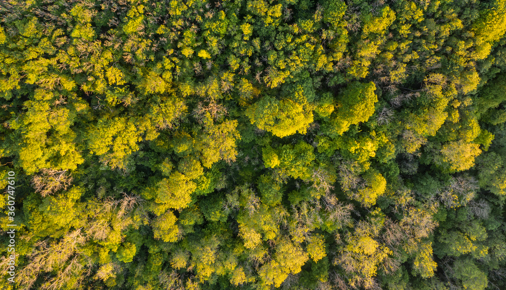 Beautiful drone landscape image over lush green Summer English countryside during late afternoon light Beautiful drone landscape image over lush green Summer English countryside during late afternoon light