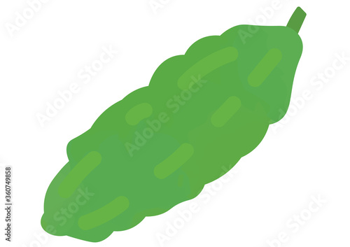 ゴーヤのイラスト