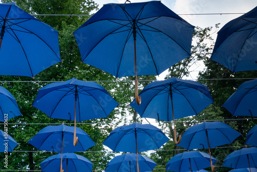 Wiszące parasolki na tle parku