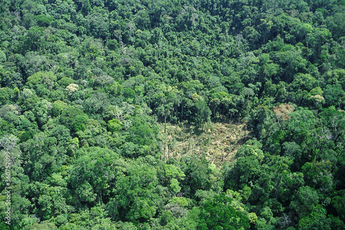 Aerial view of the Amazon Forest near Serra do Navio City, Amapa State, where the manganese deposits exported to Japan were exhausted.