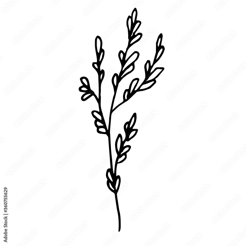 vector illustration of a tree