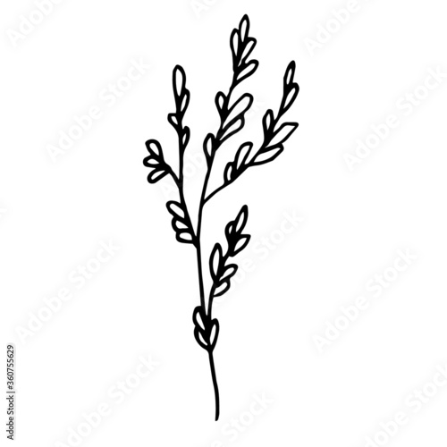 vector illustration of a tree