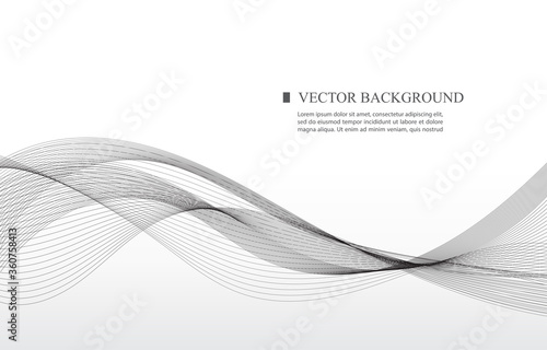 abstract vector white background black smooth line