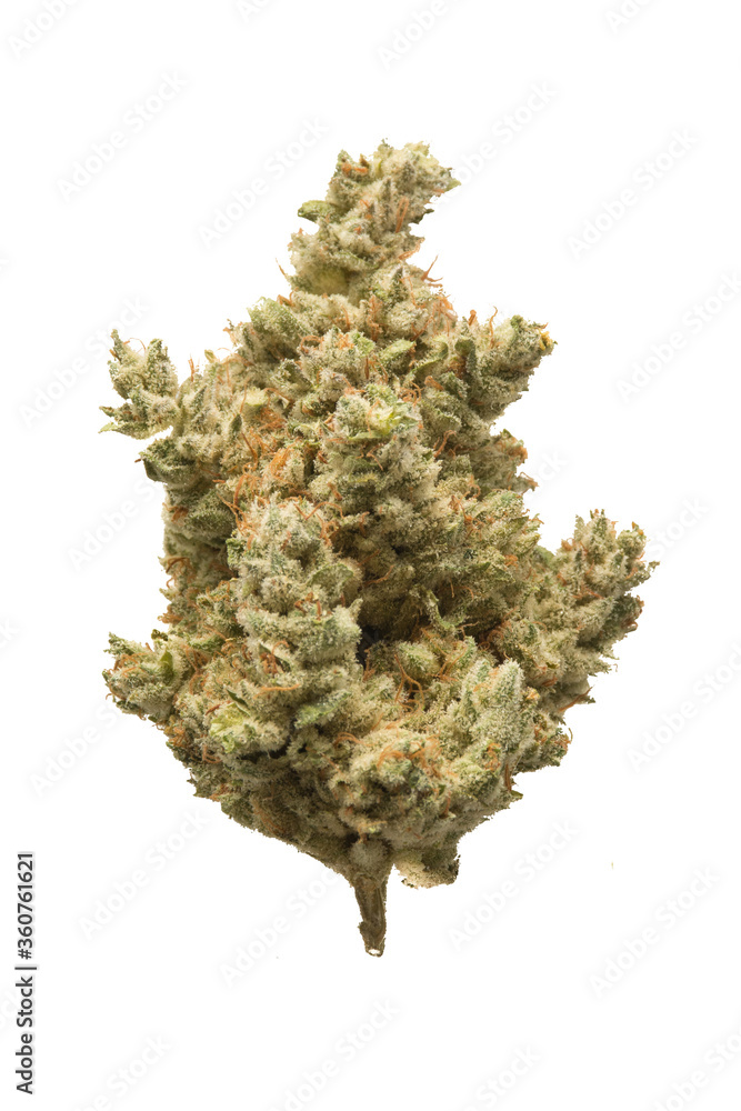 Marijuana Isolated on White Background Marijuana Isolated on White Background