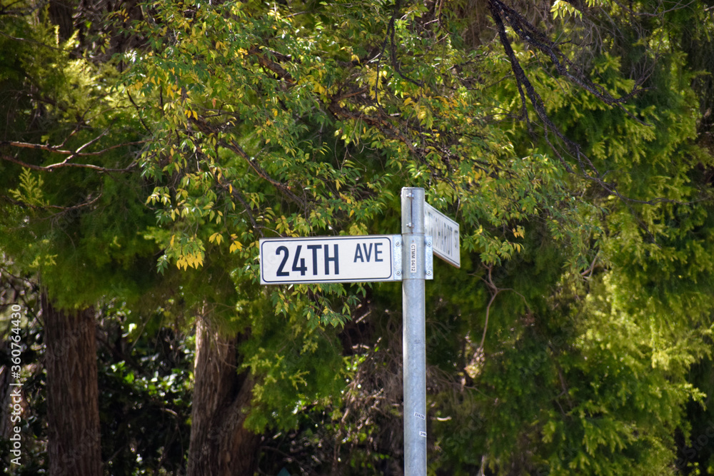 Twenty fourth/24th Avenue road sign/street name Twenty fourth/24th Avenue road sign/street name