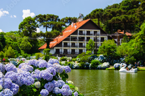 spring in the garden - Lago Negro - Hortências de Gramado - RS photo