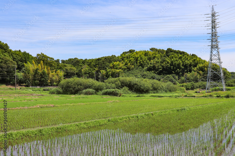 Obraz premium 引地川周辺の田園風景（神奈川県藤沢市）