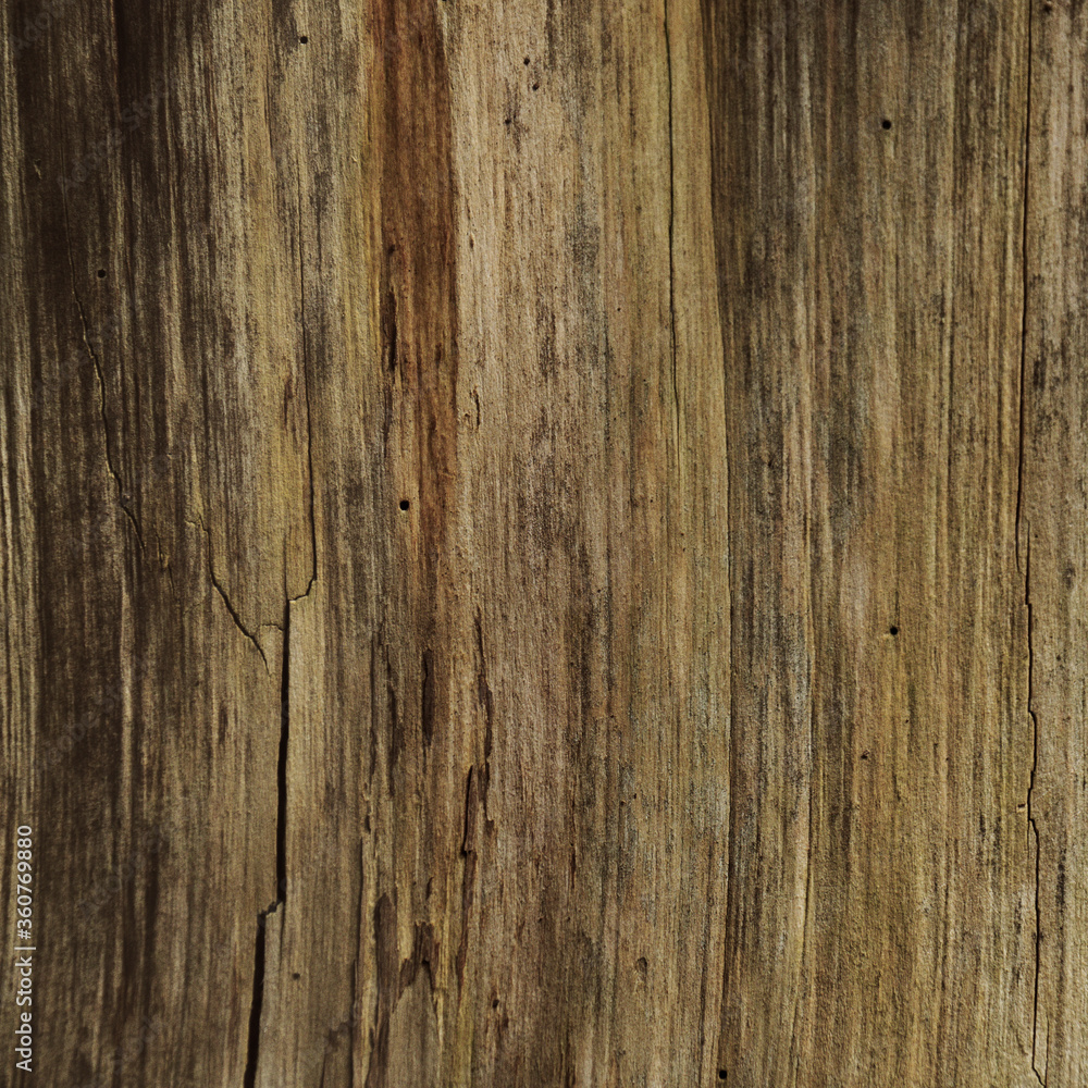 Old worn wood texture pattern background