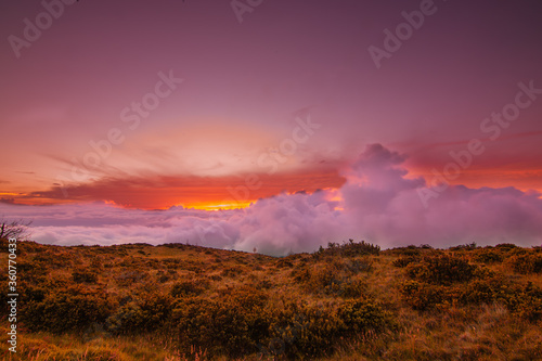 high elevation sunset with cloud coverage and forest © SeasonalStock
