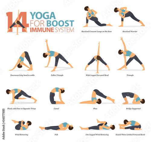 14 Yoga poses for workout in boost immune system concept. Woman exercising for body stretching. Yoga posture or asana for fitness infographic. Flat cartoon vector.
