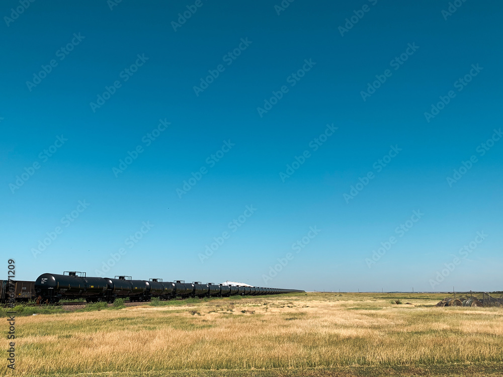 Long Train Reaching Horizon in the Desert