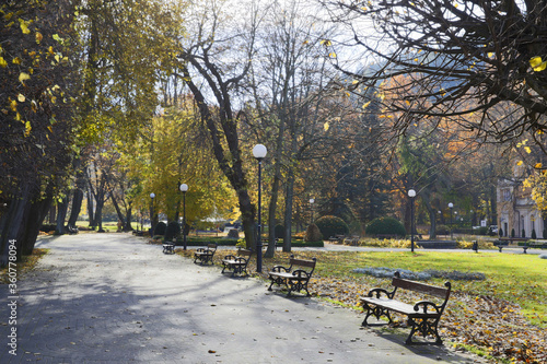 bench in the park © Posztós János