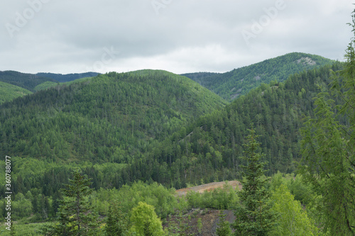 Summer landscape with hills (mountain range) covered with forest, mainly with coniferous trees