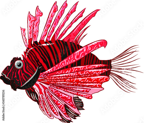 sea lion fish black red