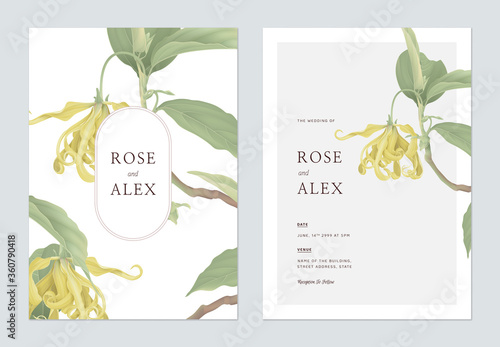 Floral wedding invitation card template design, cananga odorata flowers with leaves on white