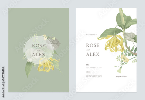 Floral wedding invitation card template design, cananga odorata flowers with various leaves on green and white