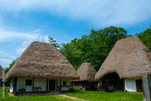 traditional clay and brick house with straw and wood roof © florinfaur