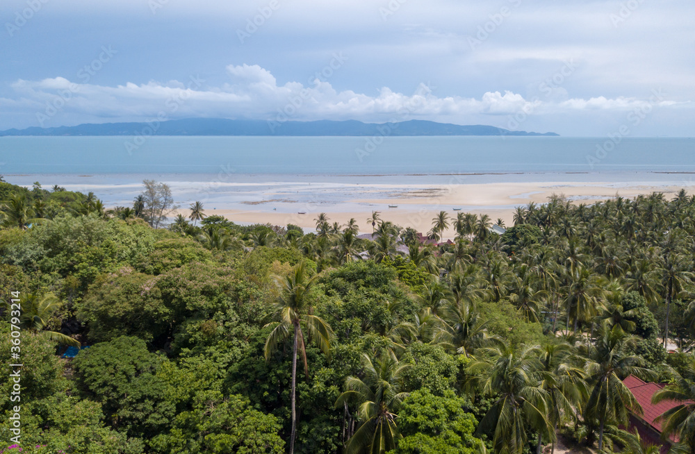 Aerial along tropical rainforest, nature of jungle, aerial rainforest canopy from above to sand beach and island view
