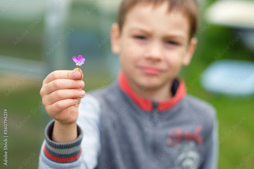 The boy holds out a small flower. Blurred background The boy holds out a small flower. Blurred background