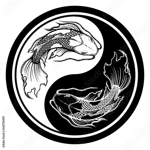 Ying yang symbol of harmony and balance. Hand drawn outline Koi fish vector illustration, tattoo design, japan style, line art ink work, animal wildlife.