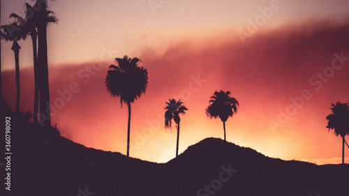 Fire Behind the Mountain Palms