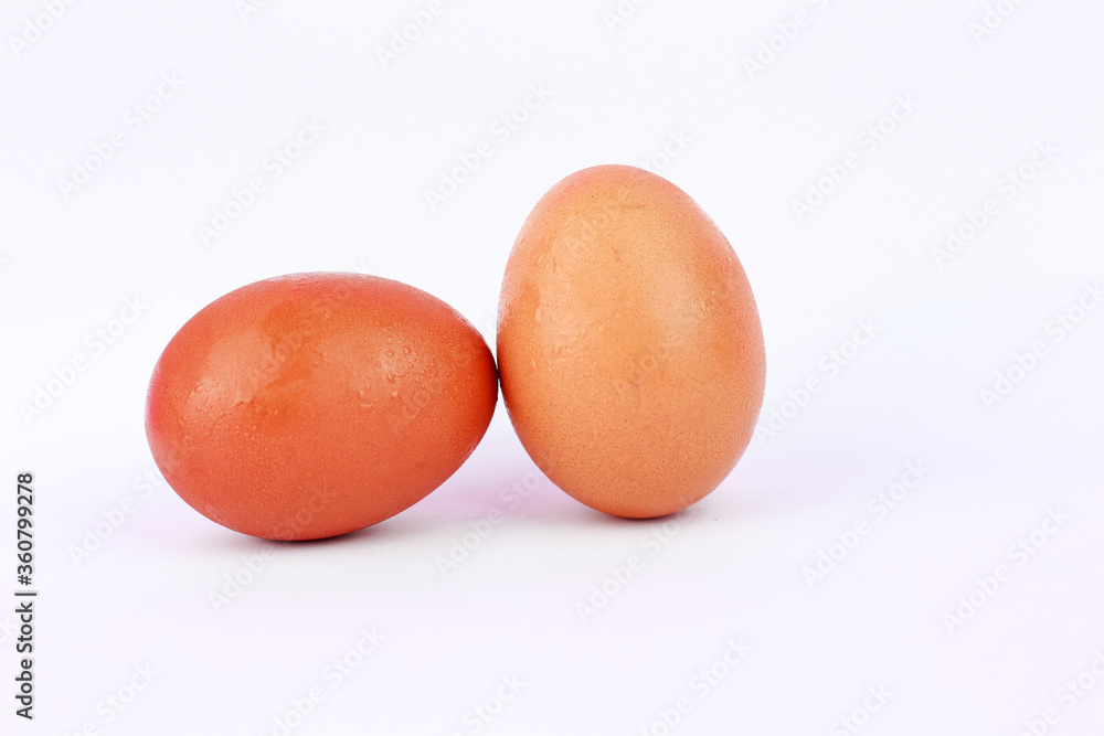 fresh egg on wihte back ground fresh egg on wihte back ground