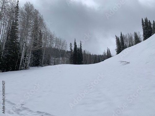 Winter wonderland landscape © BDS Photography
