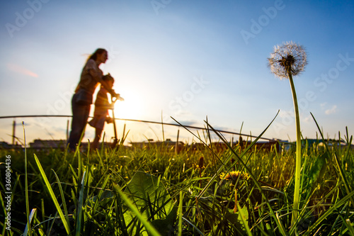 Mother and daughter riding a scooter in the background of the sunset. In the foreground is a dandelion.