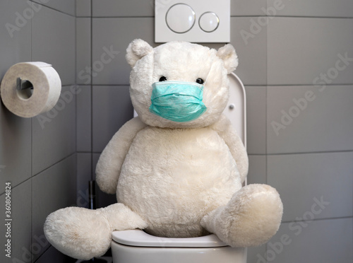 teddy bear on toalet