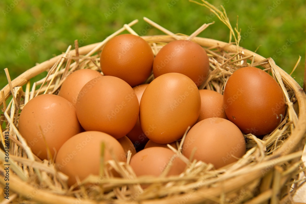 Fresh organic eggs on the basket with rice straw Fresh organic eggs on the basket with rice straw