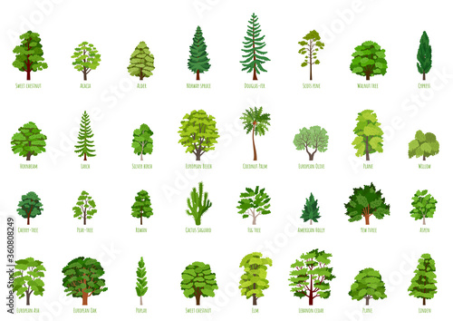 Big Vector cartoon set with trees isolated