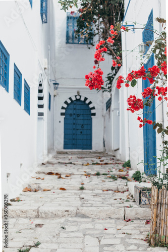 White-blue houses in the style of a Greek village with bright flowering plants. A staircase leads to a blue door. 
