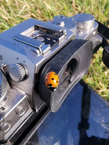 Small ladybug sitting on a dusty camera in the sun.