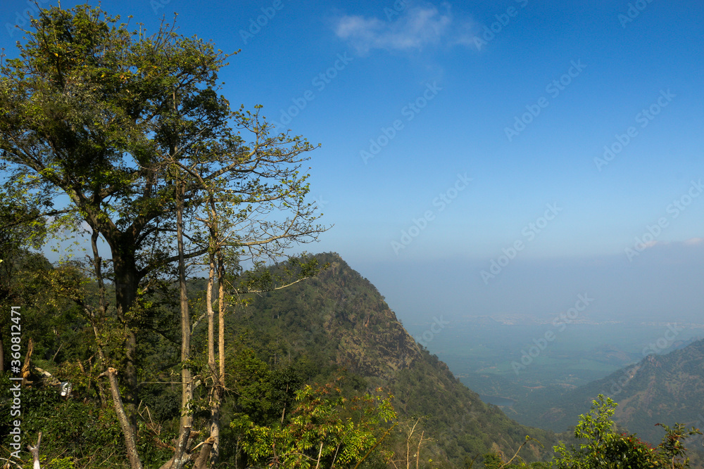 Obraz premium trees in the mountains