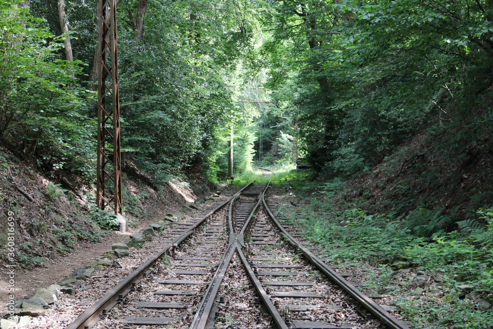 Aus zwei Bahnschienen im Wald wird eine Schiene
