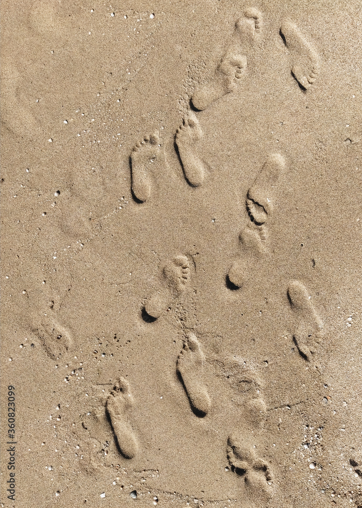 Many different prints of male and female legs on the sea sand with sea shells. Walk barefoot along the shore with footprints. Tourist rest. Many different prints of male and female legs on the sea sand with sea shells. Walk barefoot along the shore with footprints. Tourist rest.