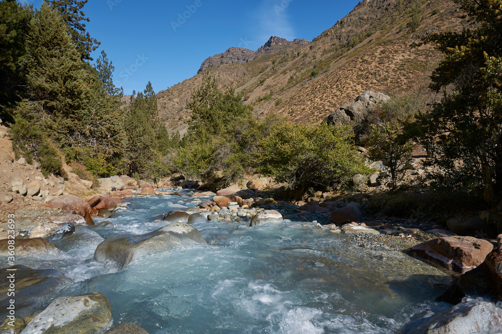 Ice cold river from the Paloma glacier running through autumn coloured vegetation in the Yerba Loca Mountain Park near Santiago in Chile Ice cold river from the Paloma glacier running through autumn coloured vegetation in the Yerba Loca Mountain Park near Santiago in Chile