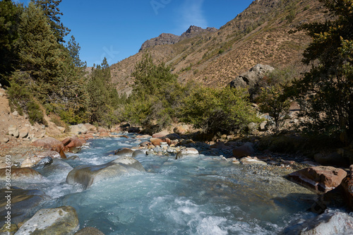 Ice cold river from the Paloma glacier running through autumn coloured vegetation in the Yerba Loca Mountain Park near Santiago in Chile