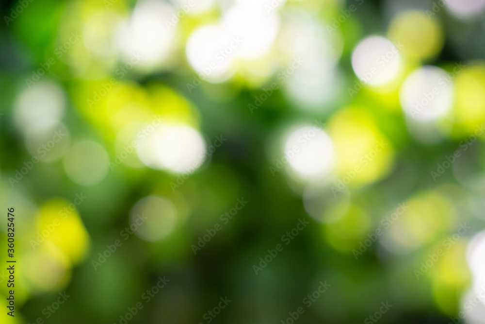 Blur green leaves with bokeh, abstract background Blur green leaves with bokeh, abstract background