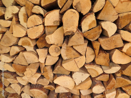 Logs stacked for winter