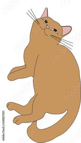 Cute cat face. Hand drawn characters. Sweet funny kitten. Vector illustration.