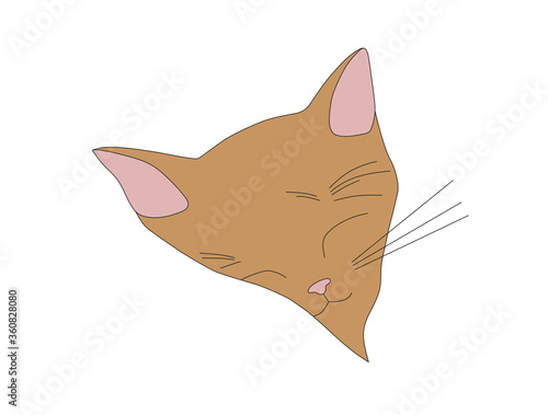 Vector color illustration of a sleeping red cute kitten. Isolated on white background. Can be used as advertising, sticker, logo, icon.