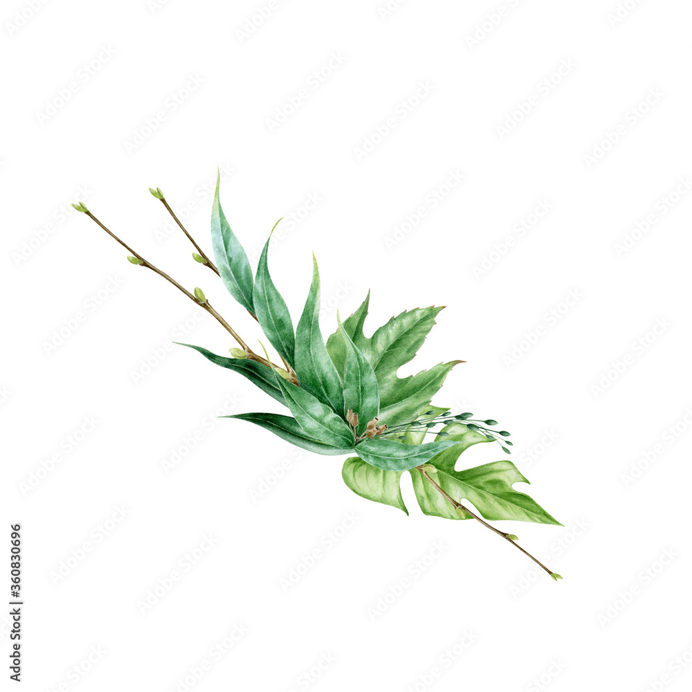 Green leaf arrangement watercolor illustration. Eucalyptus, monstera exotic leaves in elegant decorative bouquet. Lush tropical floral greens decor for wedding. Isolated on white background Green leaf arrangement watercolor illustration. Eucalyptus, monstera exotic leaves in elegant decorative bouquet. Lush tropical floral greens decor for wedding. Isolated on white background