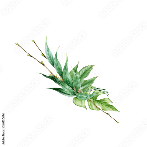 Green leaf arrangement watercolor illustration. Eucalyptus, monstera exotic leaves in elegant decorative bouquet. Lush tropical floral greens decor for wedding. Isolated on white background